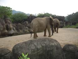 2009/11動物園