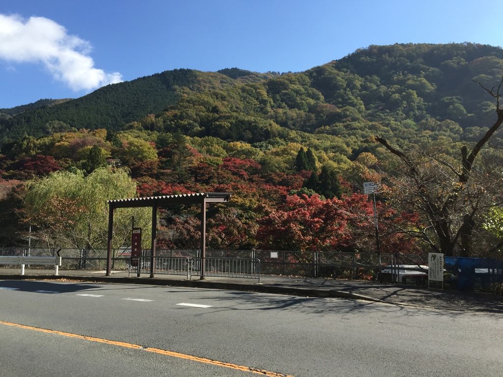 三千院 (3).JPG 三千院 (3).JPG