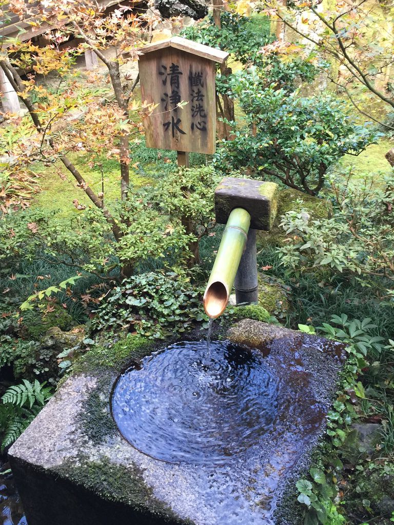 三千院 (18).JPG 三千院 (18).JPG