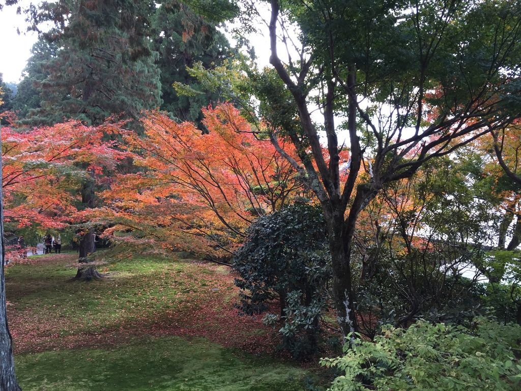 三千院 (19).JPG 三千院 (19).JPG