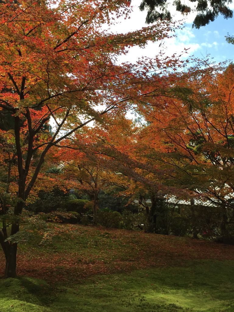 三千院 (22).JPG 三千院 (22).JPG