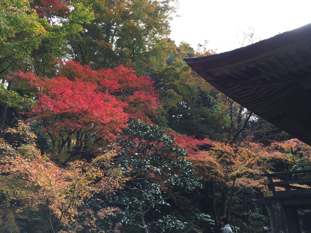 三千院 (23).JPG 三千院 (23).JPG
