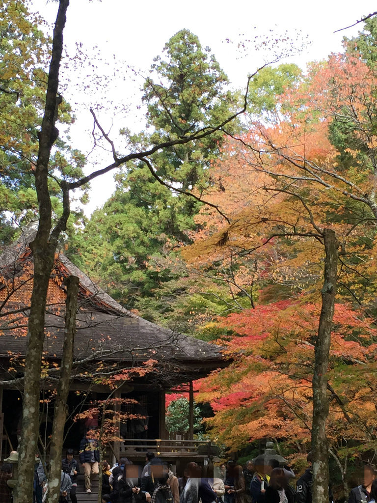三千院 (34).JPG 三千院 (34).JPG
