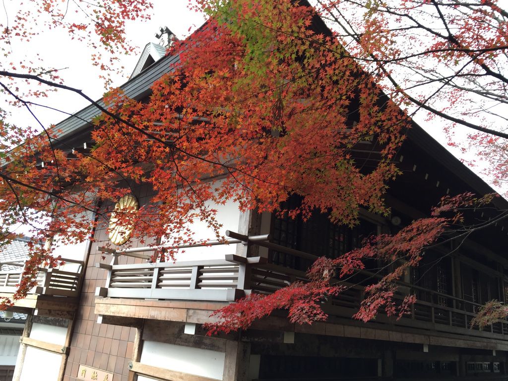 三千院 (36).JPG 三千院 (36).JPG