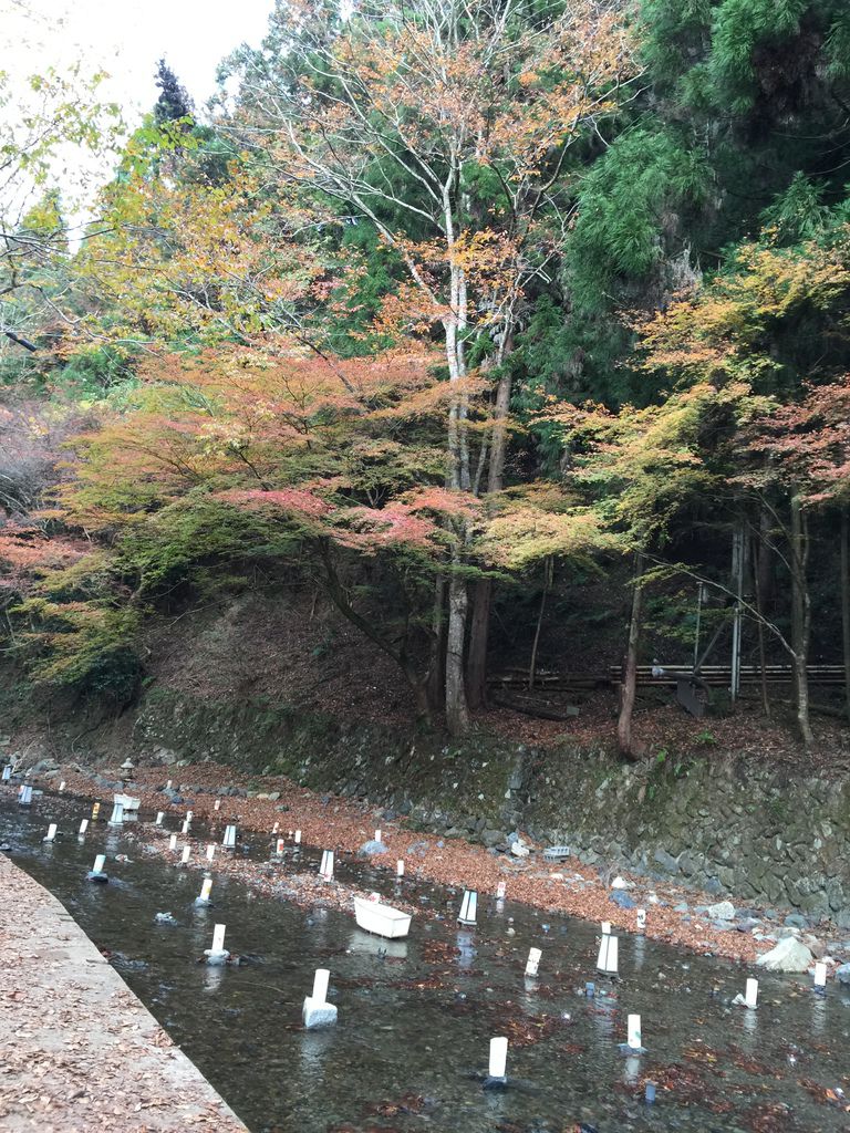 貴船神社 (1).JPG