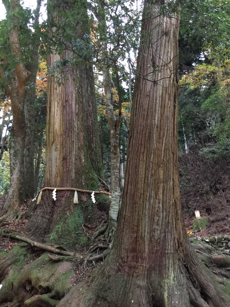 貴船神社 (14).JPG
