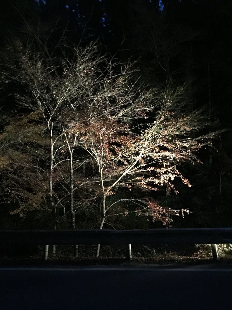 貴船神社 (22).JPG