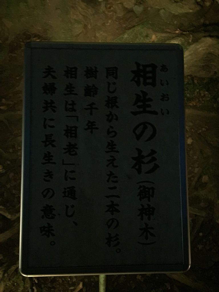 貴船神社 (23).JPG