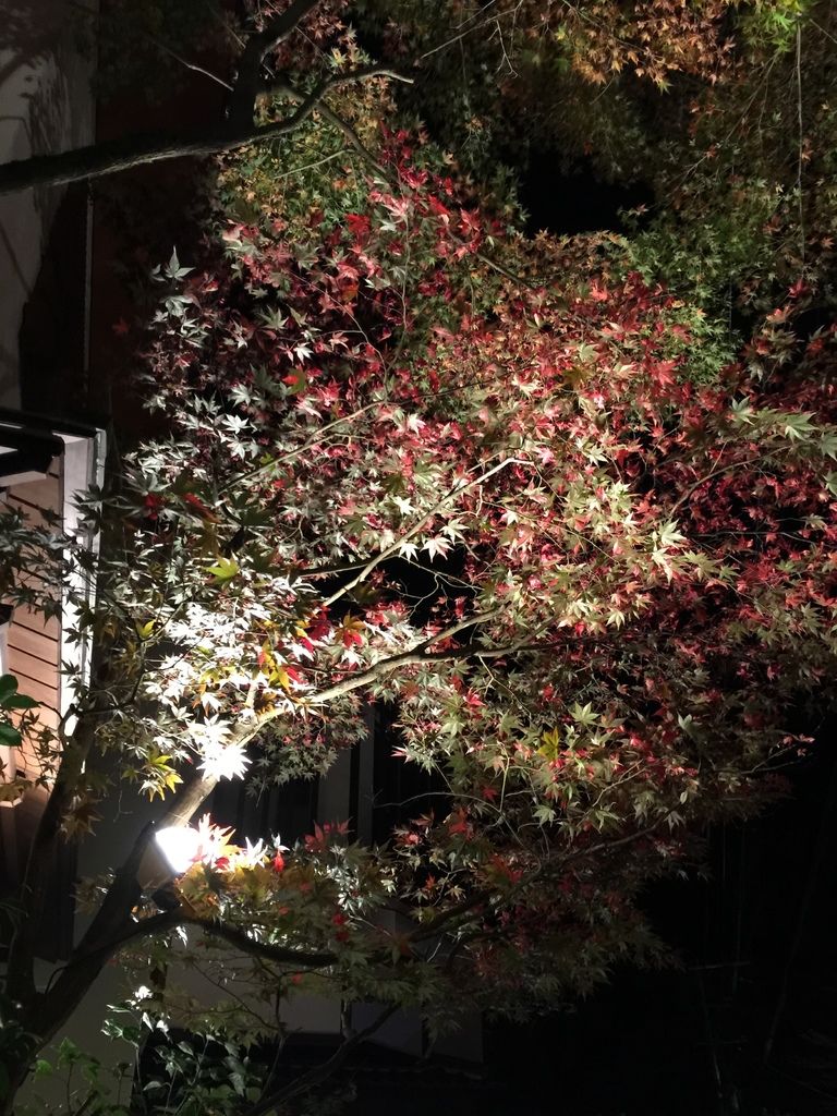 貴船神社 (31).JPG