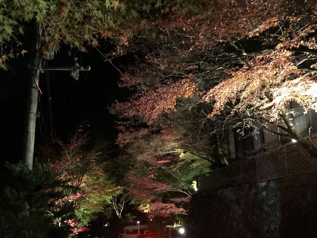 貴船神社 (32).JPG