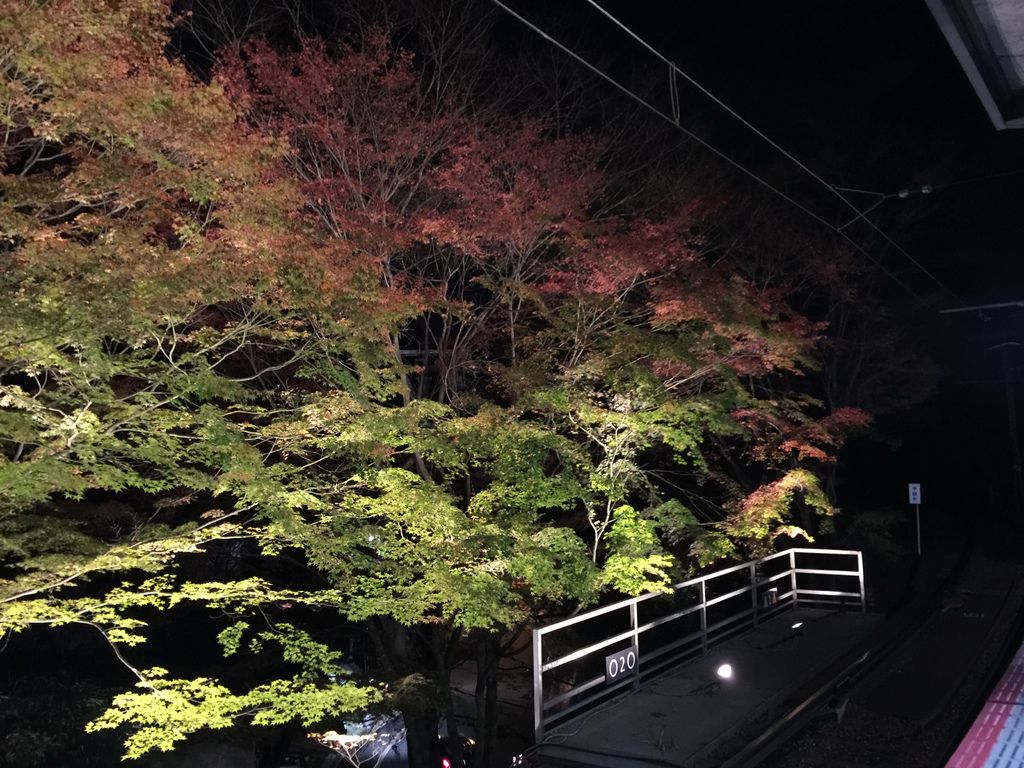 貴船神社 (36).JPG