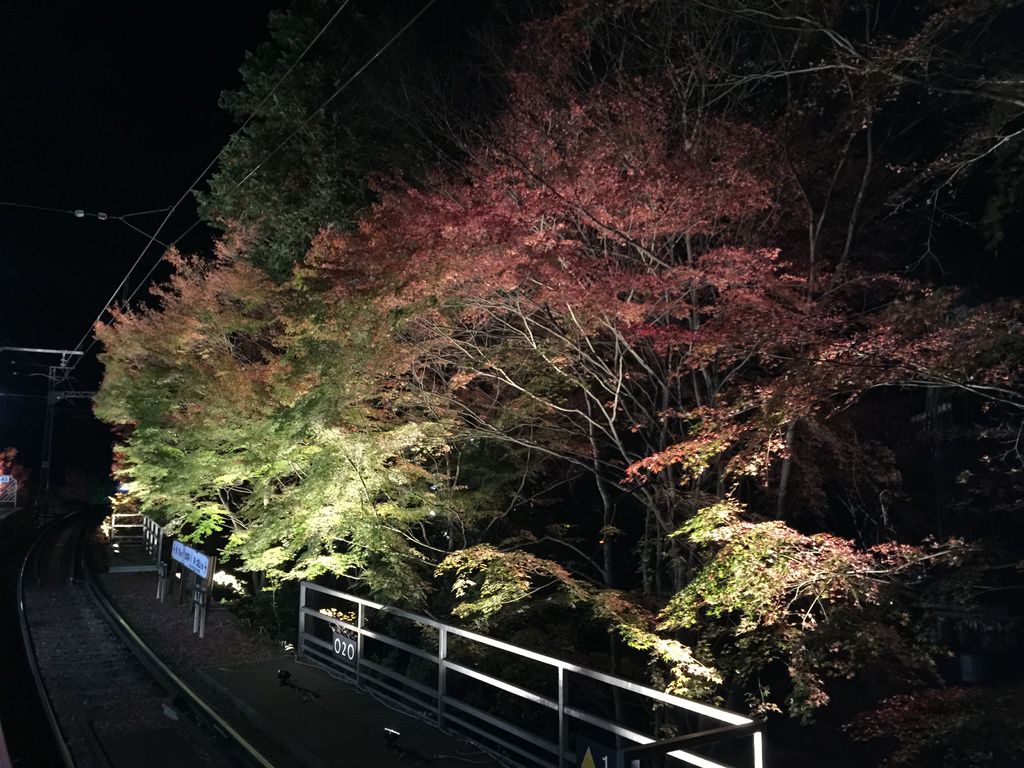 貴船神社 (37).JPG