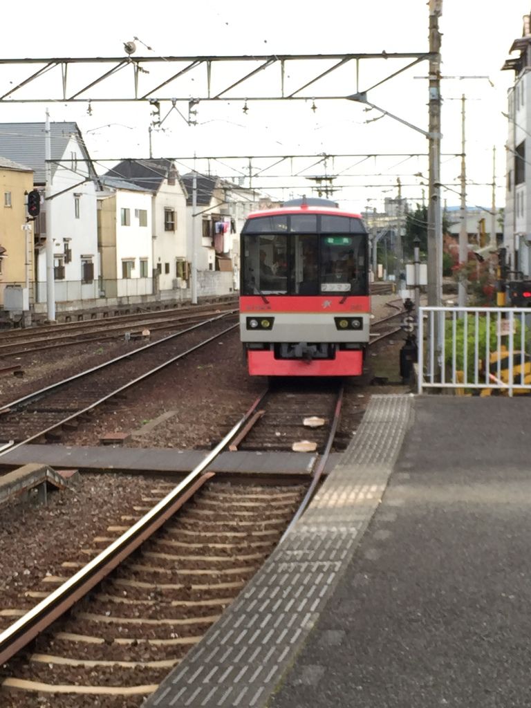 楓葉隧道 (1).JPG 楓葉隧道 (1).JPG