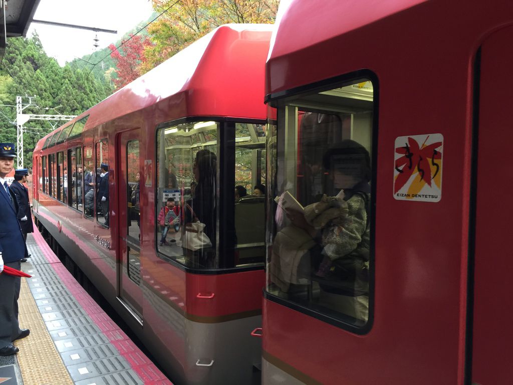 楓葉隧道 (2).JPG