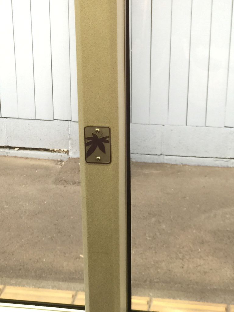 楓葉隧道 (4).JPG 楓葉隧道 (4).JPG