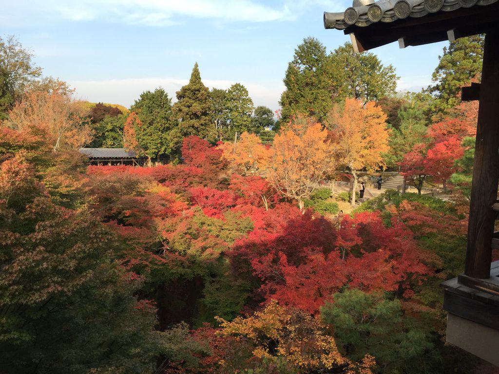 東福寺 (7).JPG