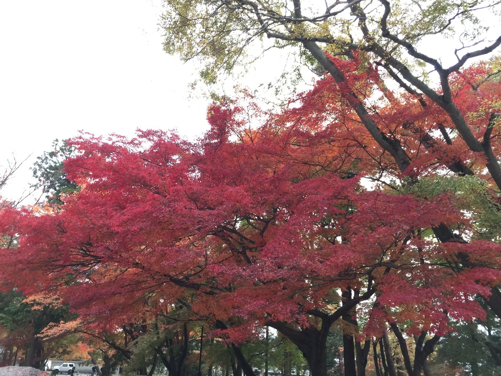 南禪寺 (4).JPG 南禪寺 (4).JPG