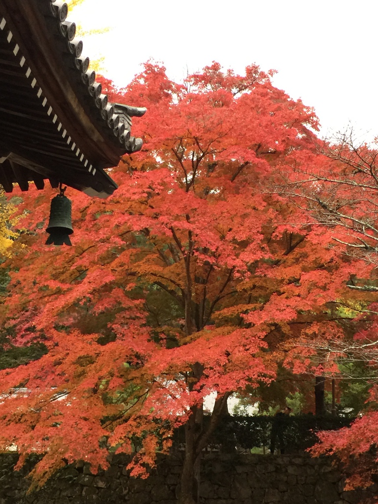 南禪寺 (8).JPG