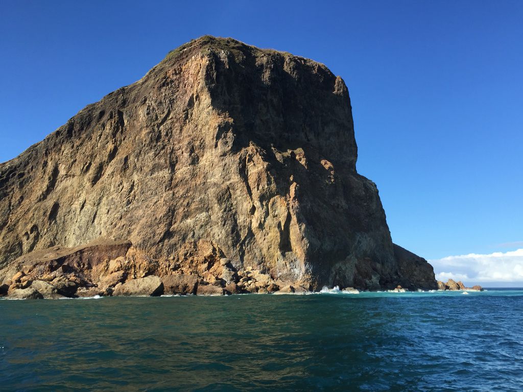 賞鯨 (9).JPG 賞鯨 (9).JPG