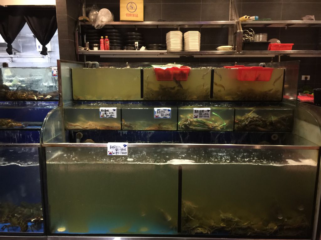 富美5.JPG 富美5.JPG