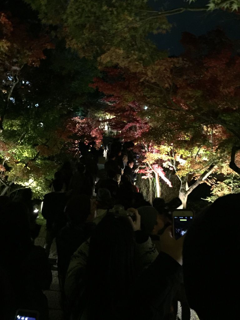 永觀堂6.JPG 永觀堂6.JPG