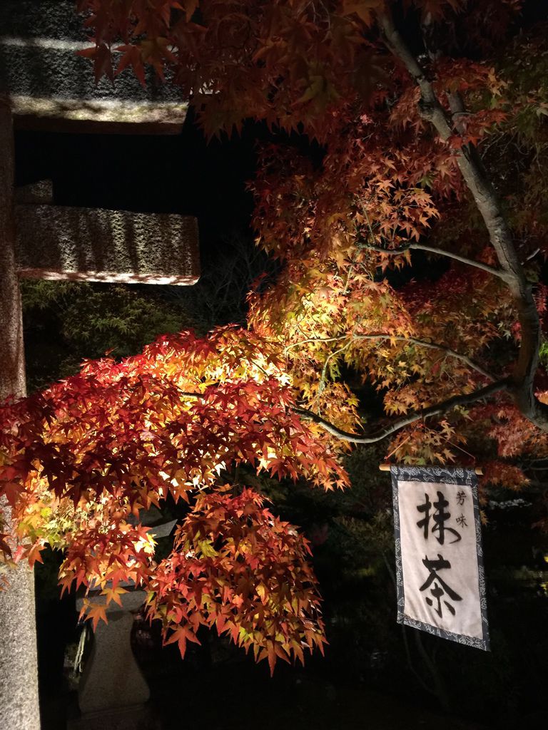 永觀堂9.JPG 永觀堂9.JPG