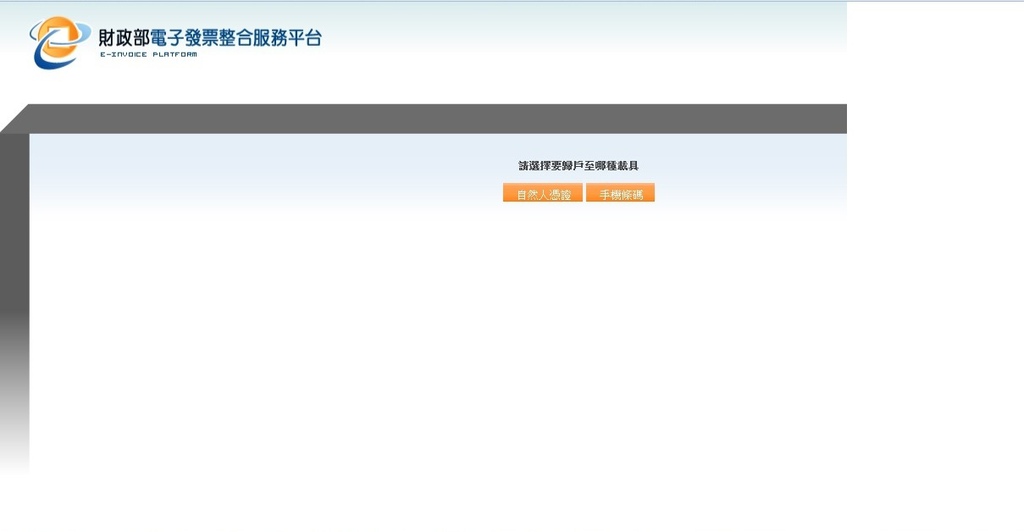 電子發票4.jpg 電子發票4.jpg