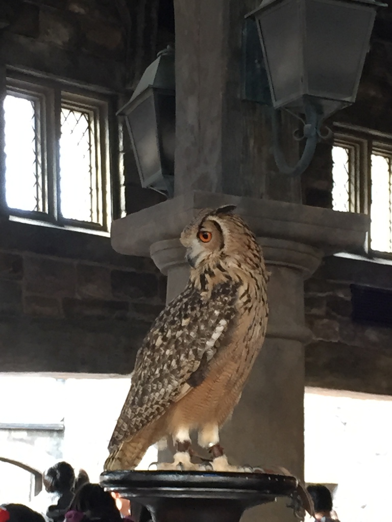 環球影城16.JPG 環球影城16.JPG