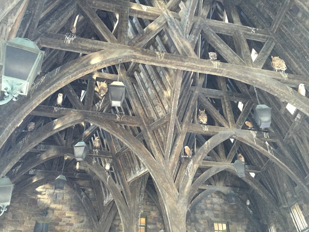 環球影城17.JPG 環球影城17.JPG