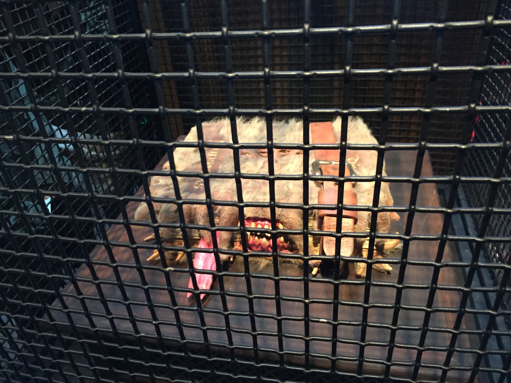 環球影城21.JPG 環球影城21.JPG