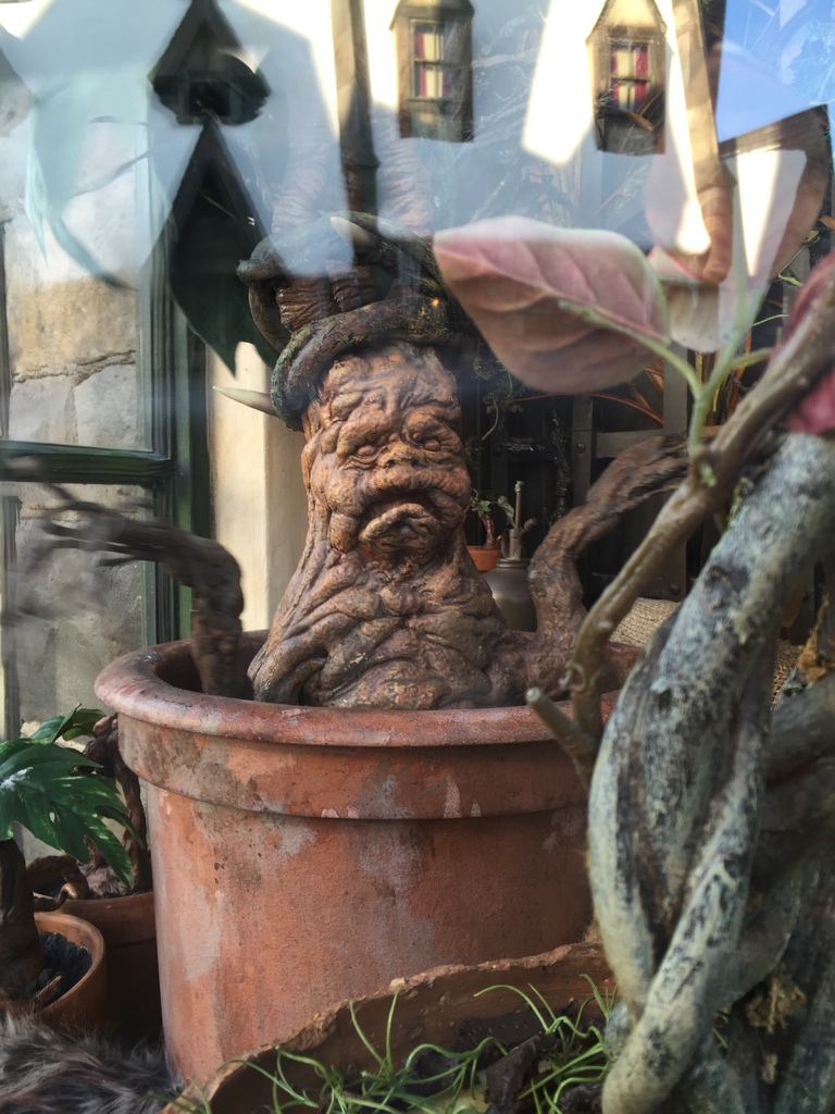 環球影城29.JPG 環球影城29.JPG