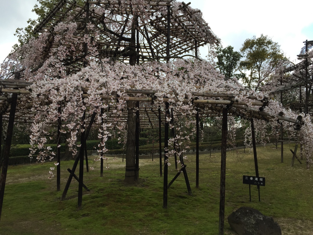 ASAHI18.JPG ASAHI18.JPG