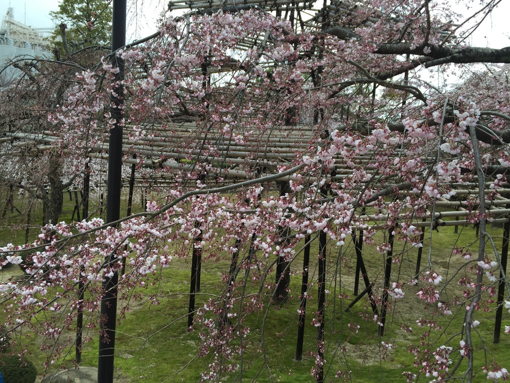 ASAHI20.JPG ASAHI20.JPG