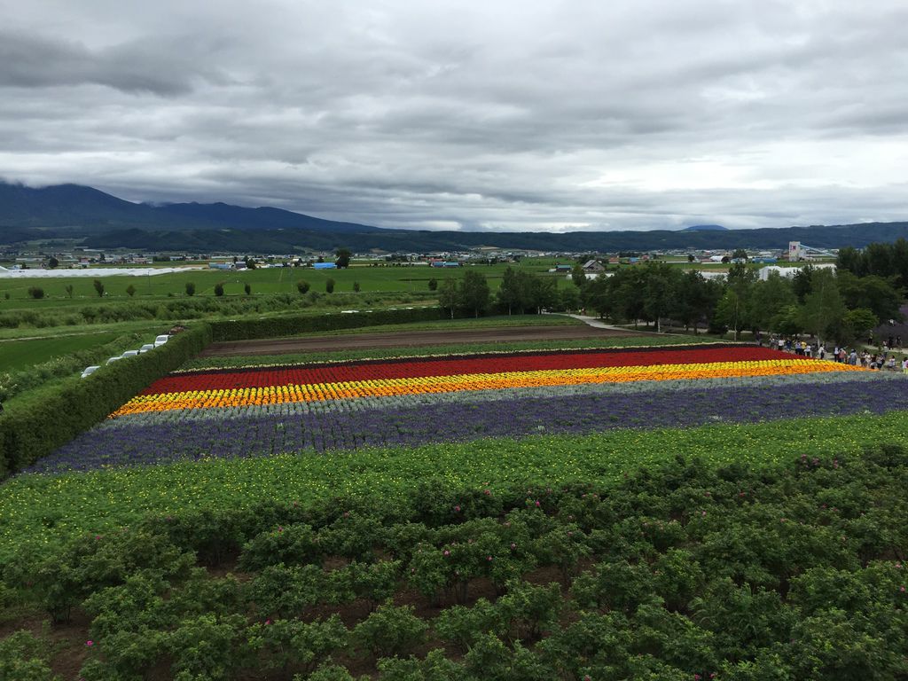 富田3.JPG 富田3.JPG