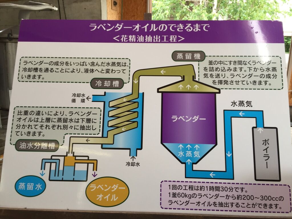 富田6.JPG 富田6.JPG