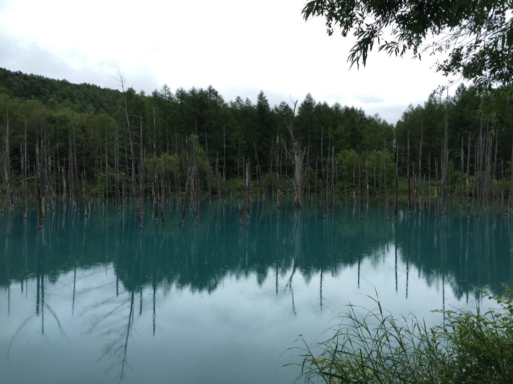 青池6.JPG 青池6.JPG