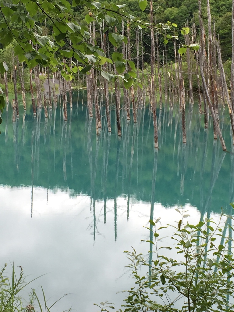 青池2.JPG 青池2.JPG