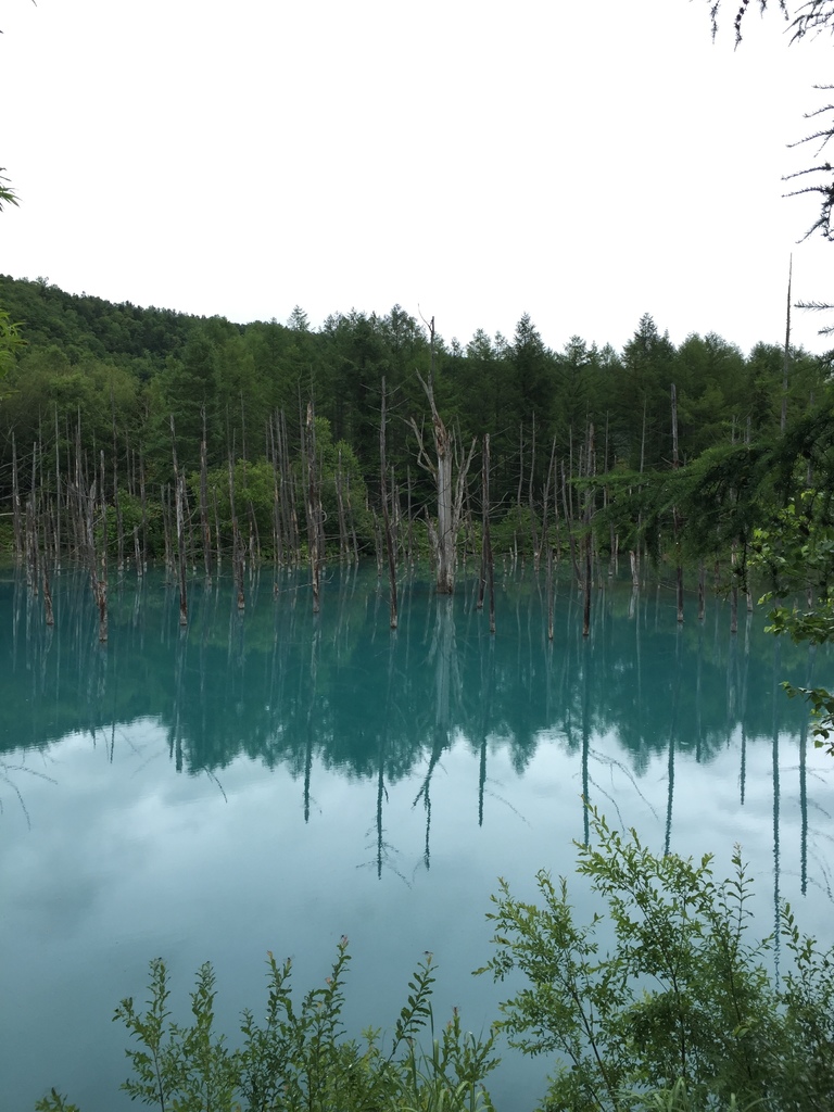 青池3.JPG 青池3.JPG