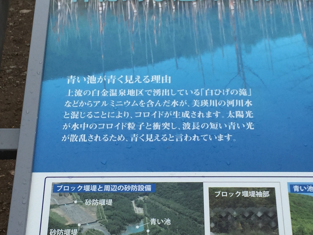 青池7.JPG 青池7.JPG