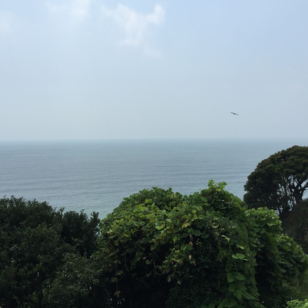 江之島14.JPG 江之島14.JPG