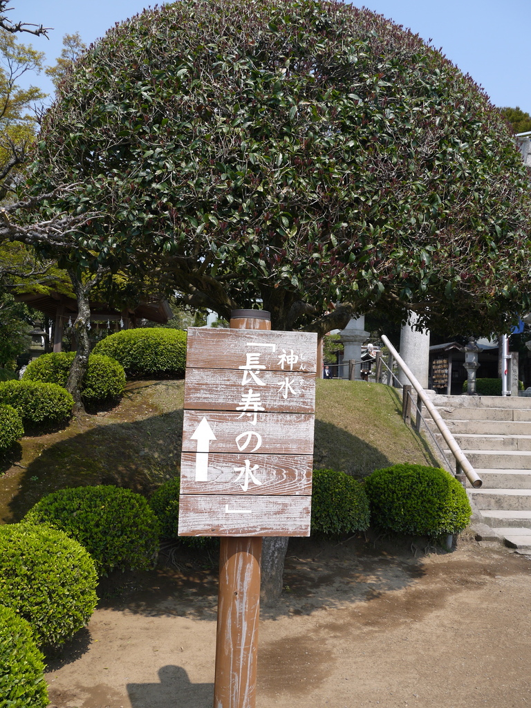 水前寺成趣園10.JPG 水前寺成趣園10.JPG