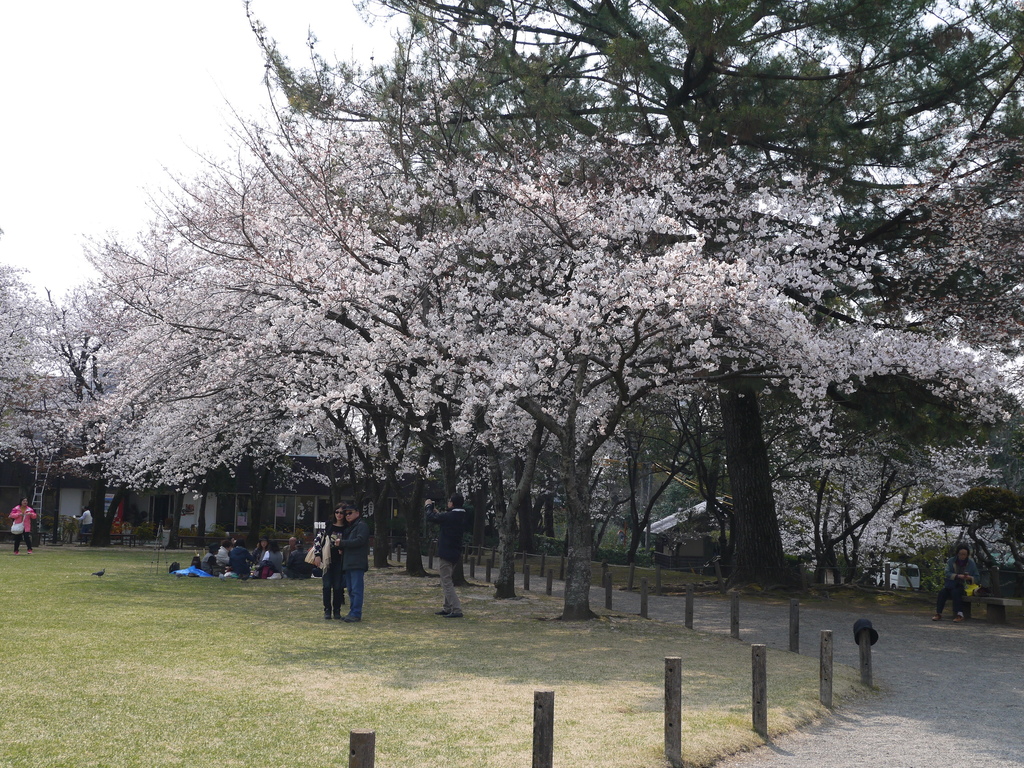 水前寺成趣園16.JPG 水前寺成趣園16.JPG
