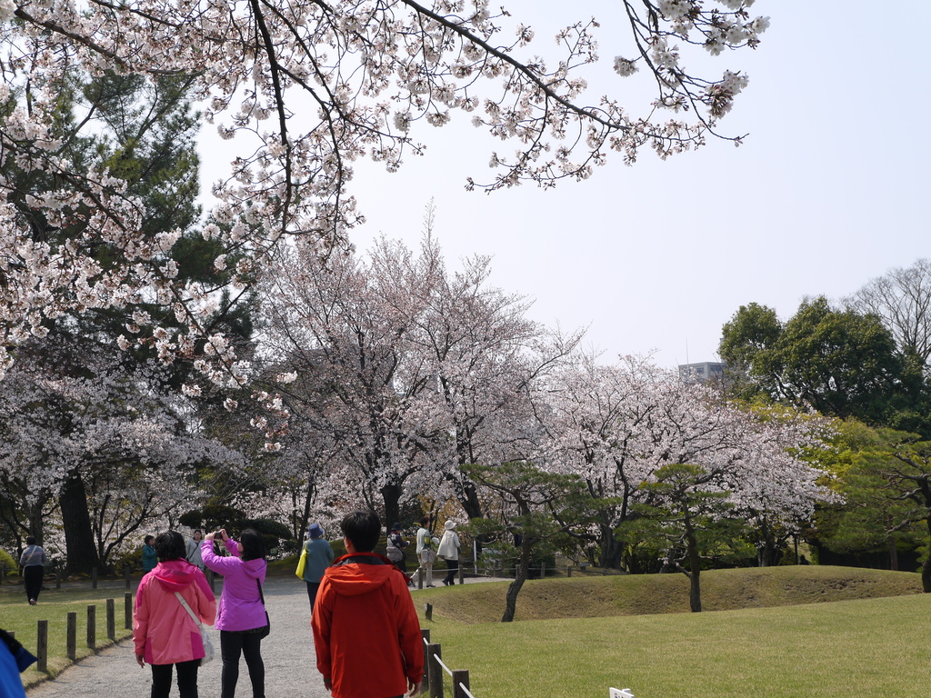 水前寺成趣園15.JPG 水前寺成趣園15.JPG