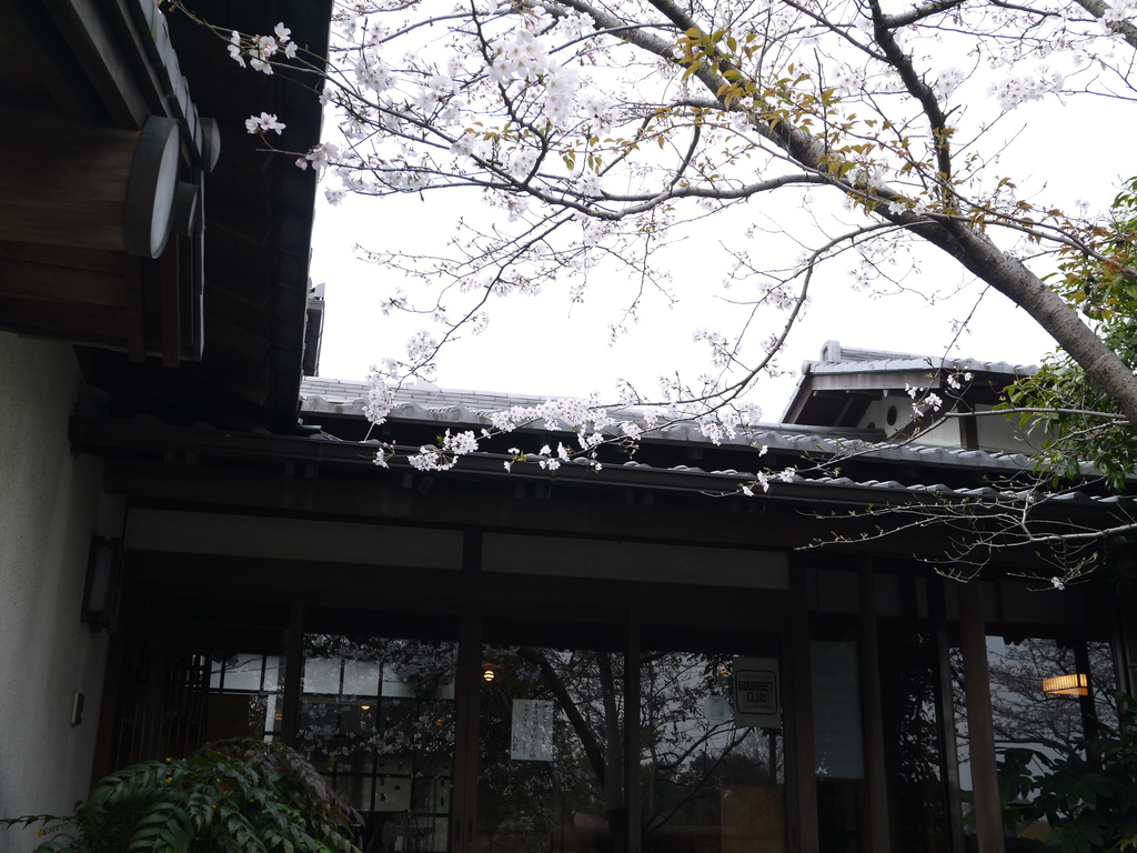 水前寺成趣園19.JPG 水前寺成趣園19.JPG