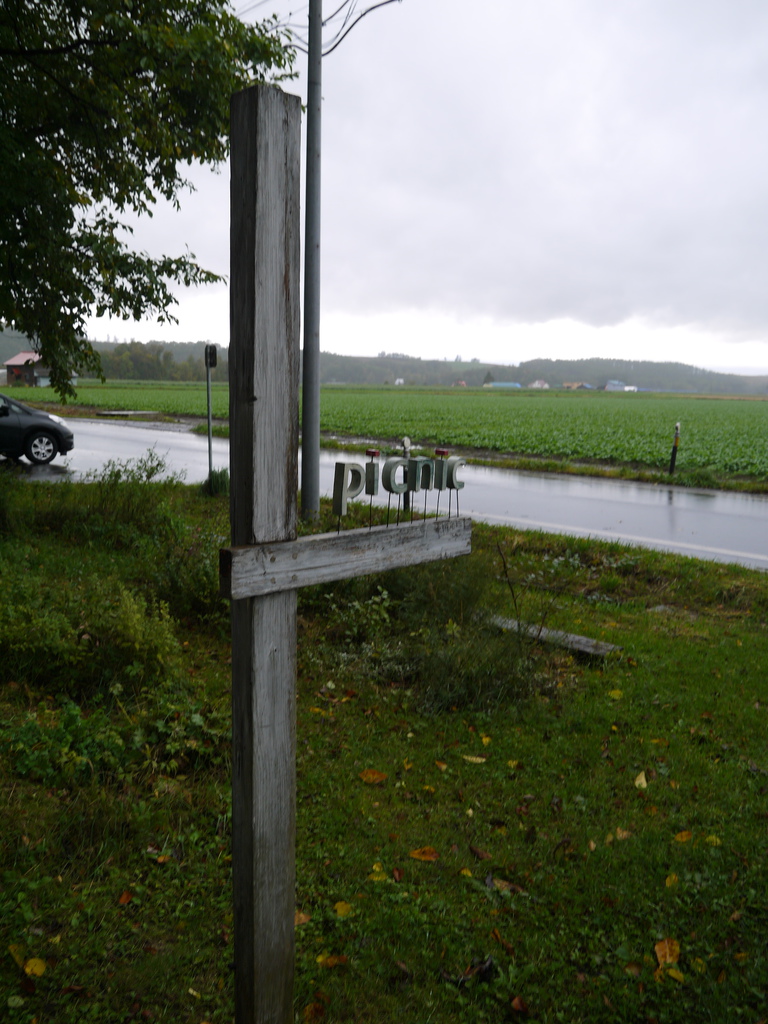 picnic01.JPG picnic01.JPG