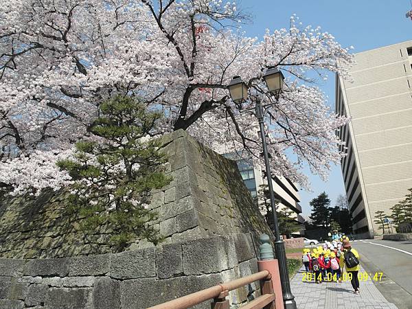福井縣 賞櫻 福井城 西山公園 足羽川河畔 Mayuko 的北陸 福井親子遊 痞客邦 福井縣 賞櫻 福井城 西山公園 足羽川河畔 Mayuko 的北陸 福井親子遊 痞客邦