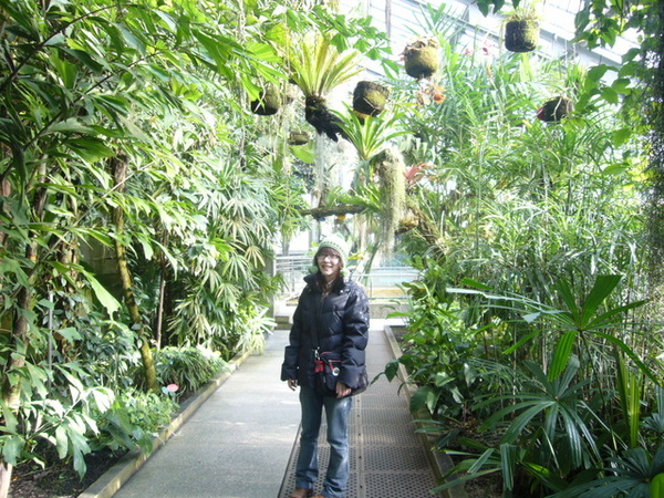 植物園裡的溫室。