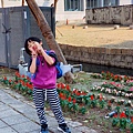IMG_0520.JPG