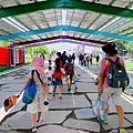 IMG_8975.JPG
