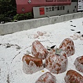 DSC04251